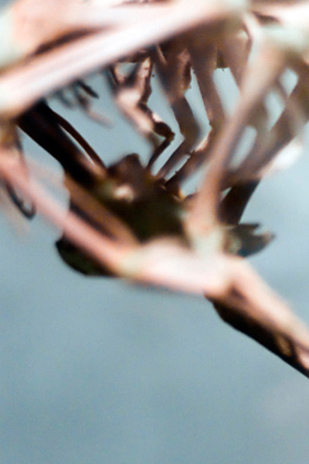 Noir Marcos Arroyo 002