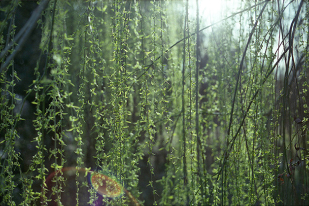 Noir Marcos Arroyo 003